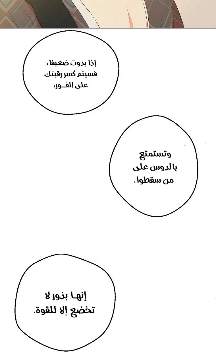 الصفحة 39 من 64