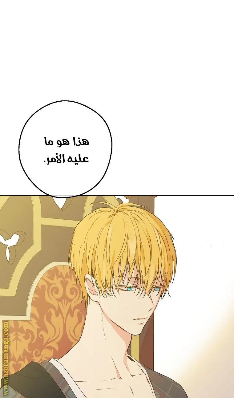 الصفحة 38 من 64