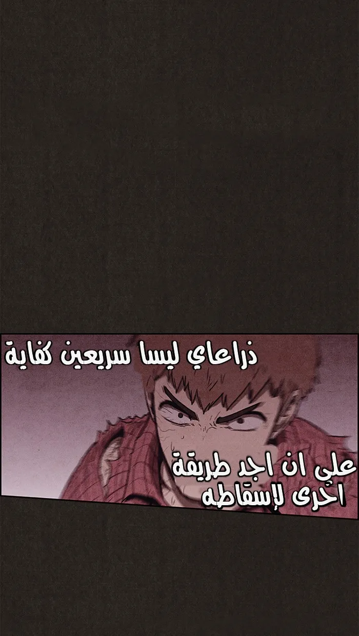 الصفحة 23 من 91