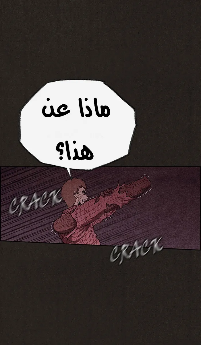 الصفحة 26 من 91