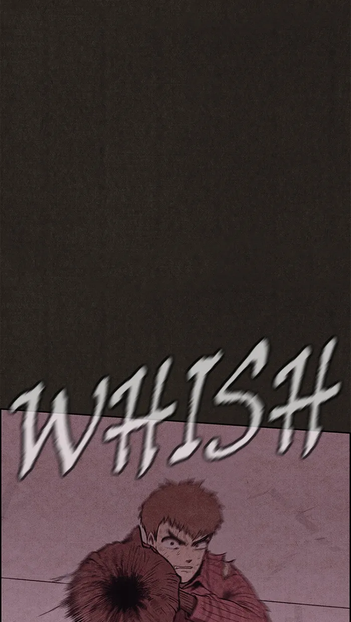 الصفحة 24 من 91