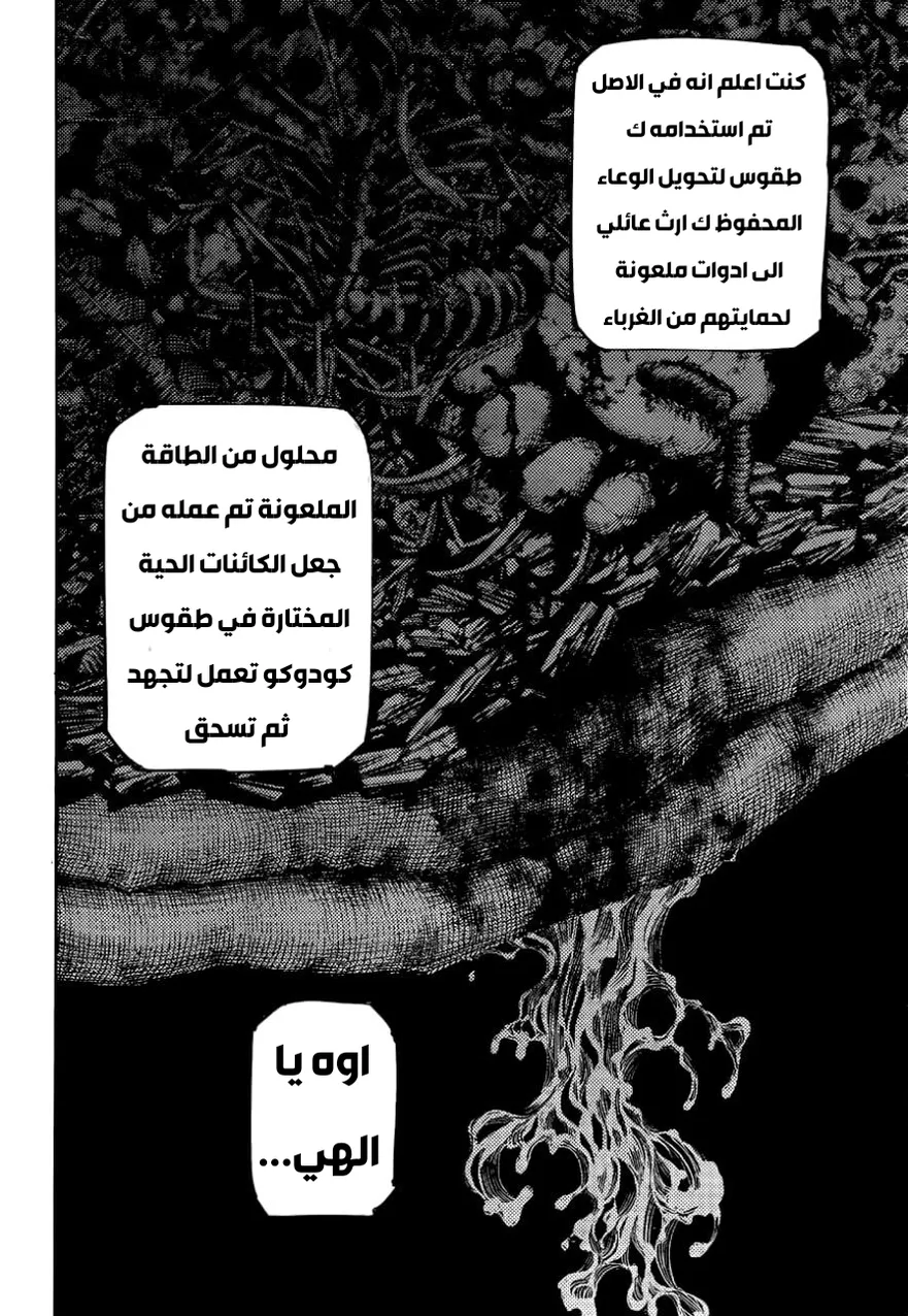 الصفحة 4 من 22
