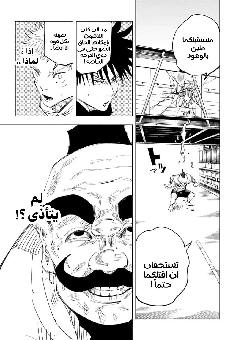 الصفحة 13 من 19