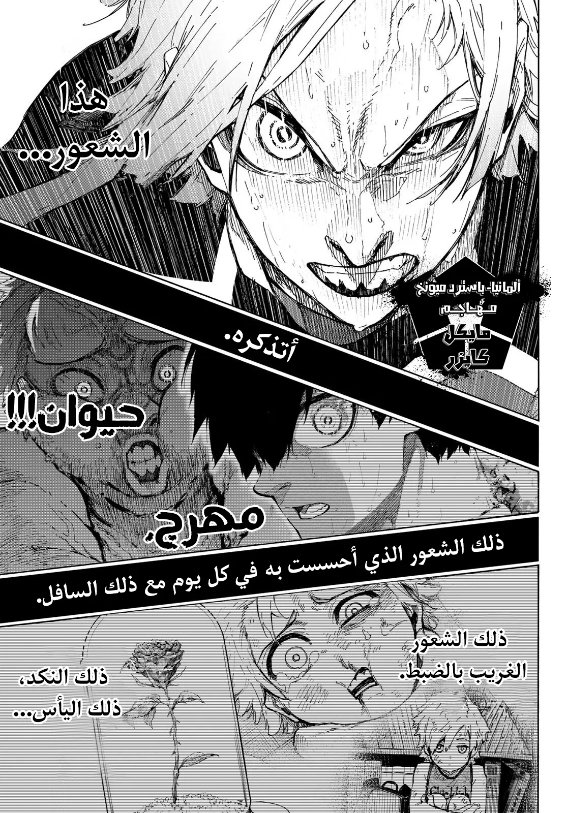الصفحة 5 من 18