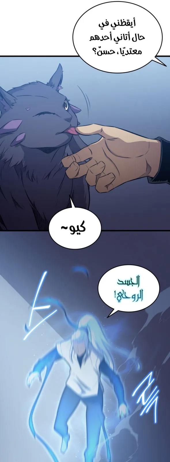 الصفحة 12 من 66