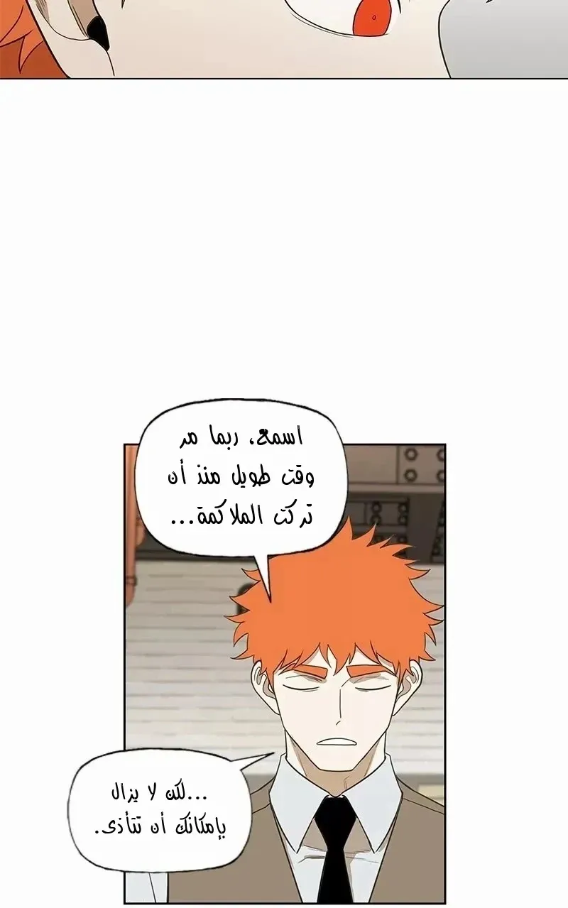 الصفحة 22 من 70