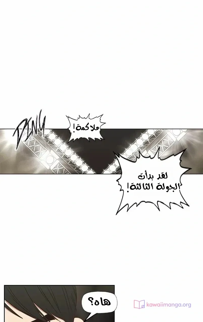 الصفحة 55 من 83