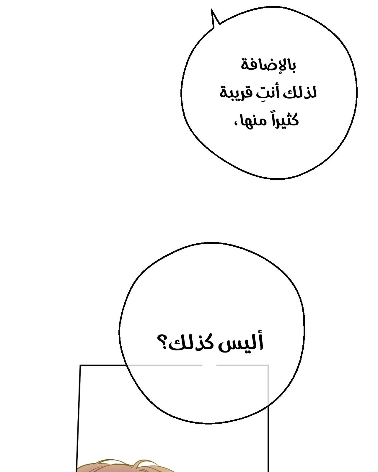 الصفحة 32 من 65