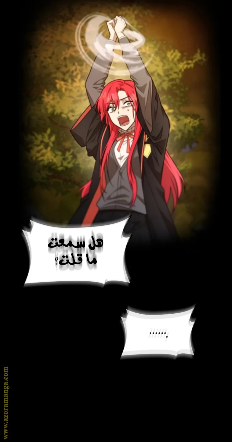 الصفحة 33 من 91
