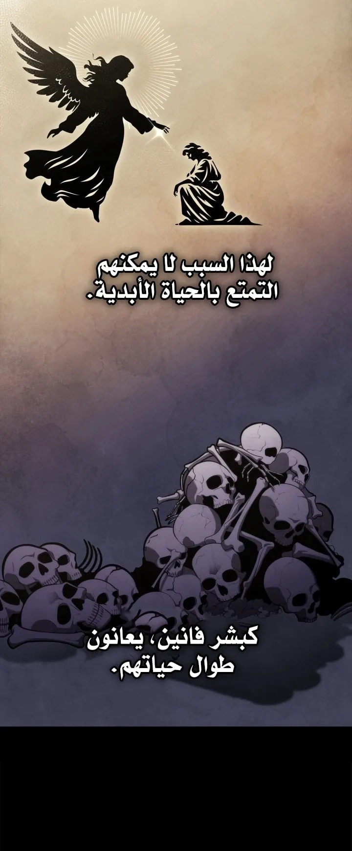 الصفحة 51 من 79