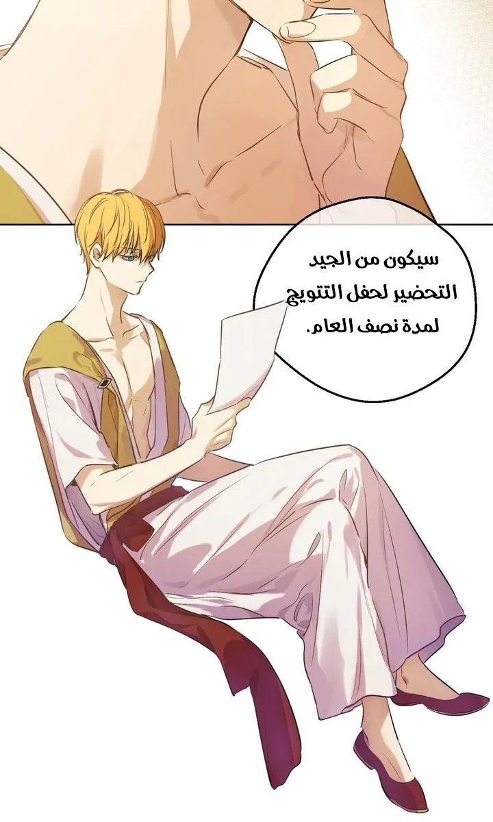 الصفحة 13 من 68