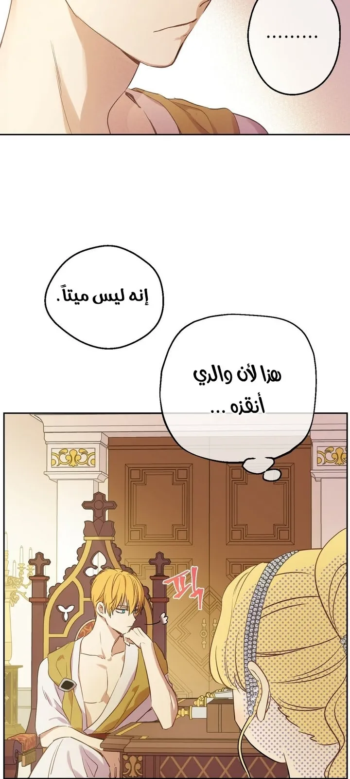 الصفحة 20 من 68