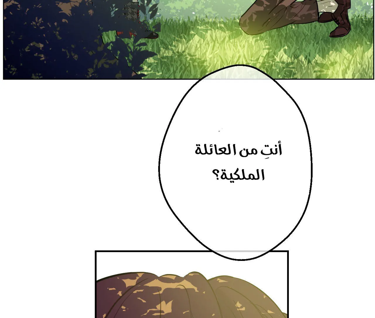 الصفحة 26 من 99