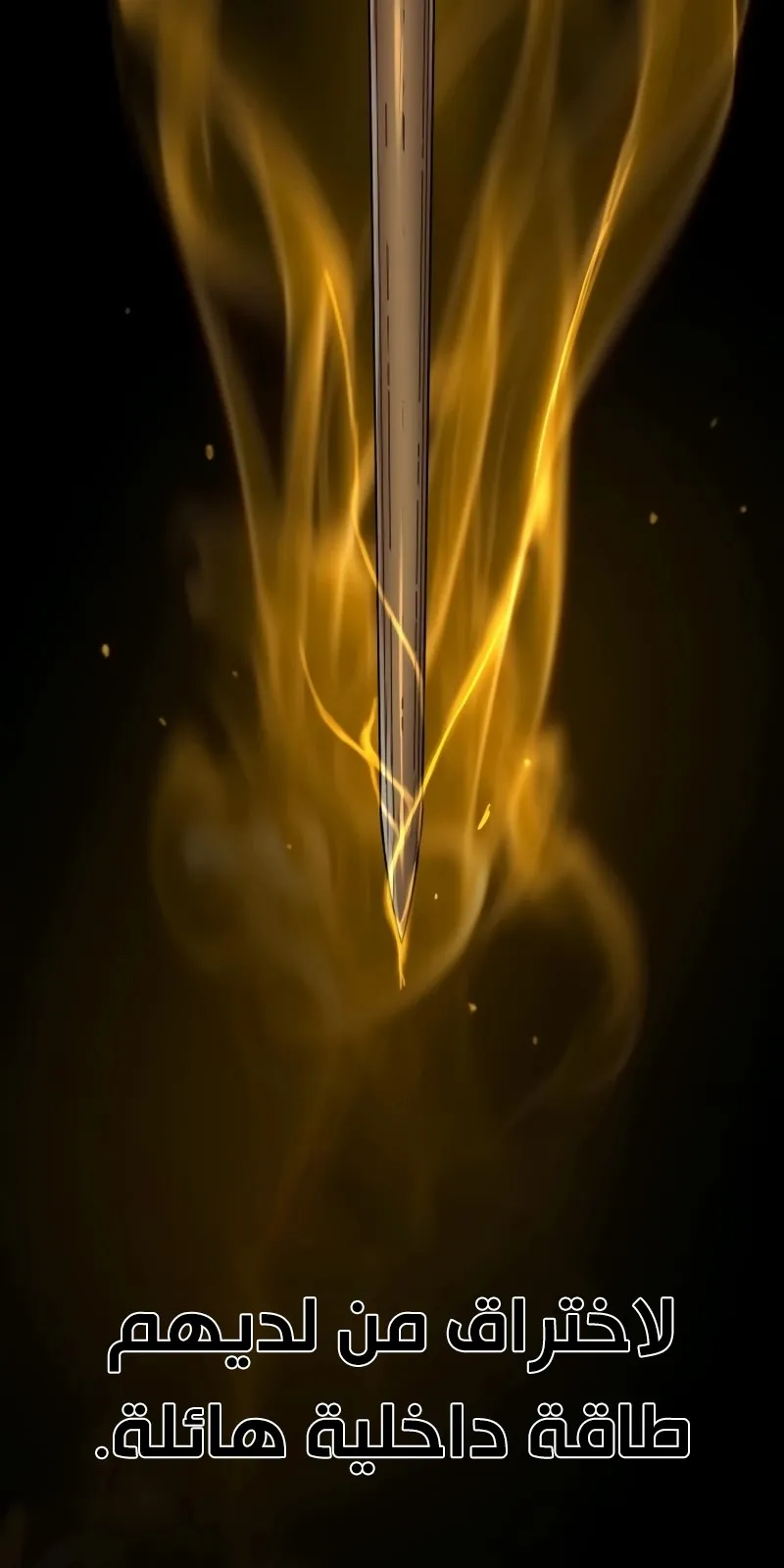 الصفحة 126 من 143