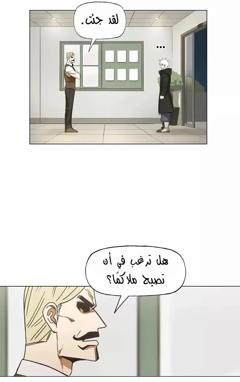 الصفحة 41 من 86