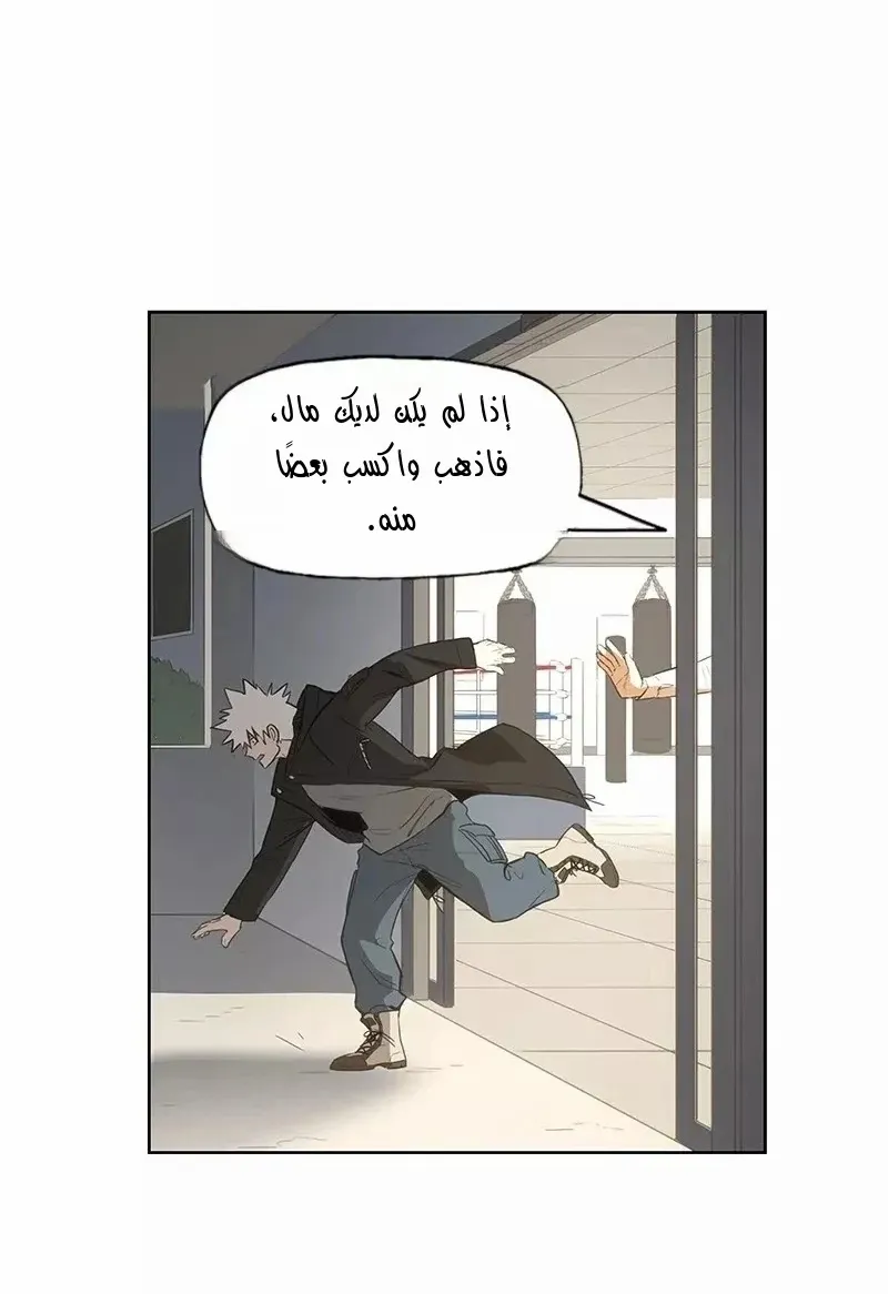 الصفحة 48 من 86