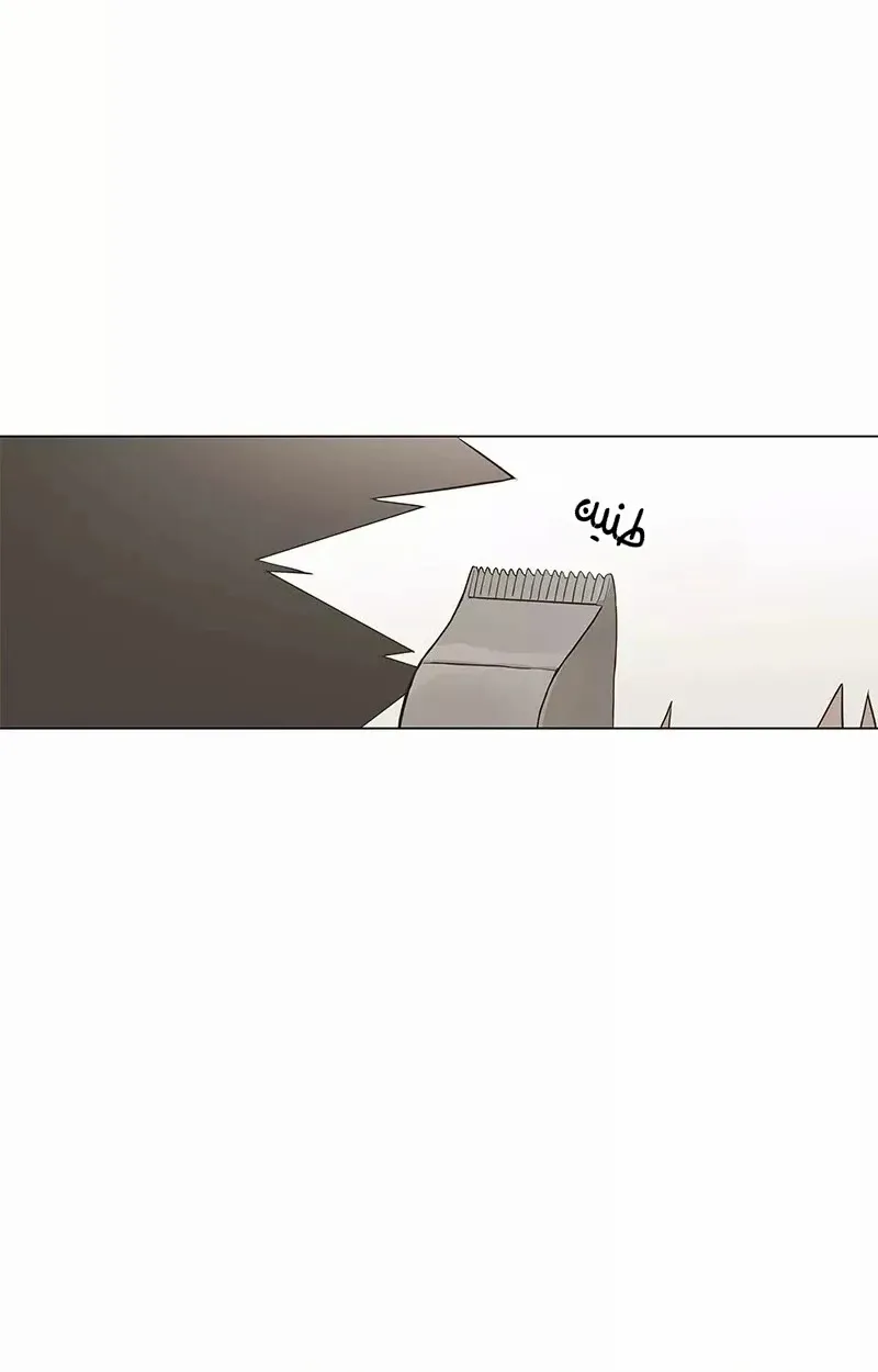 الصفحة 80 من 86