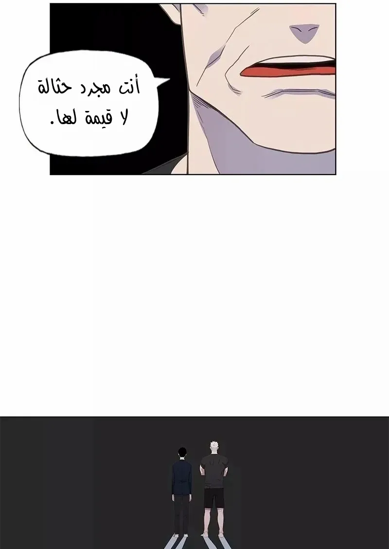 الصفحة 24 من 86