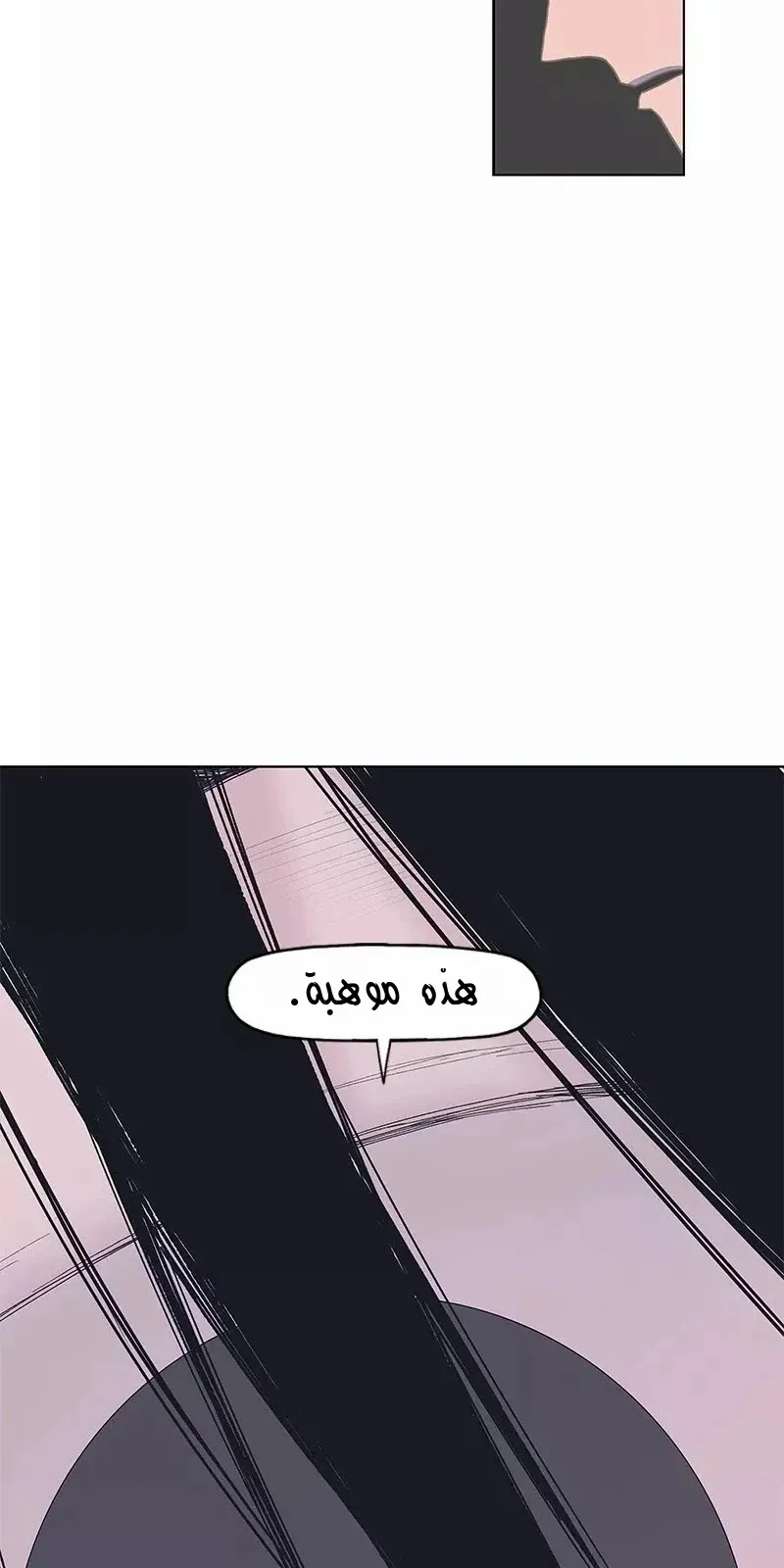 الصفحة 19 من 86