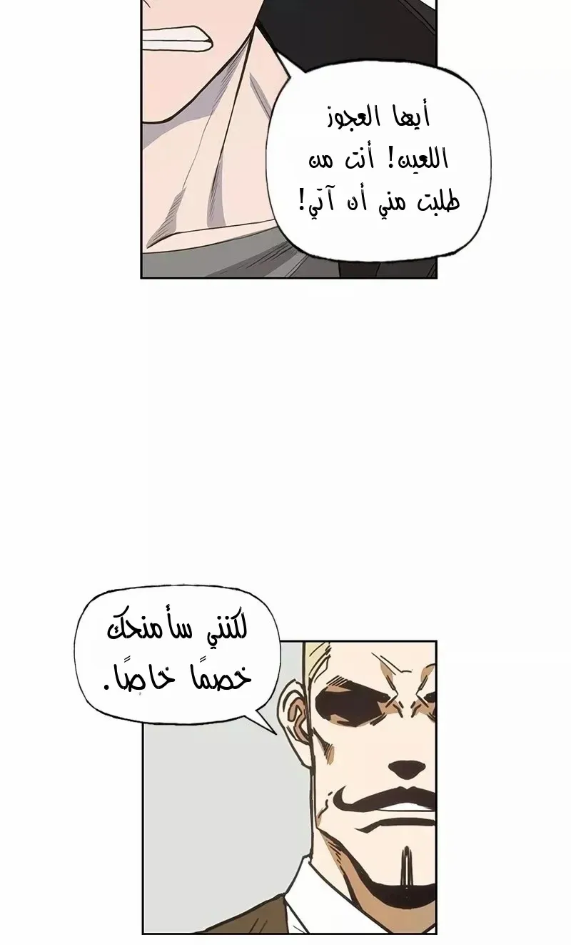 الصفحة 46 من 86