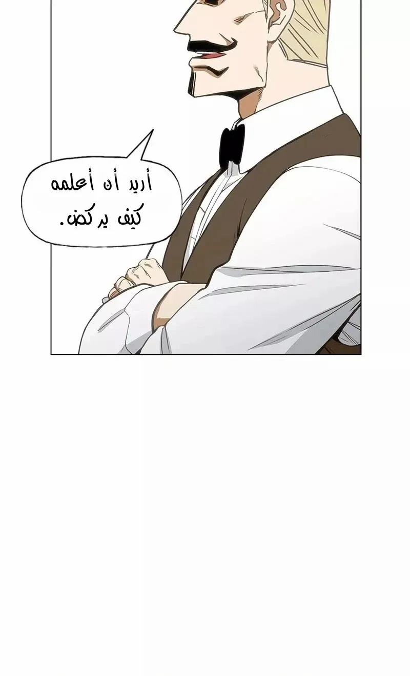 الصفحة 31 من 86