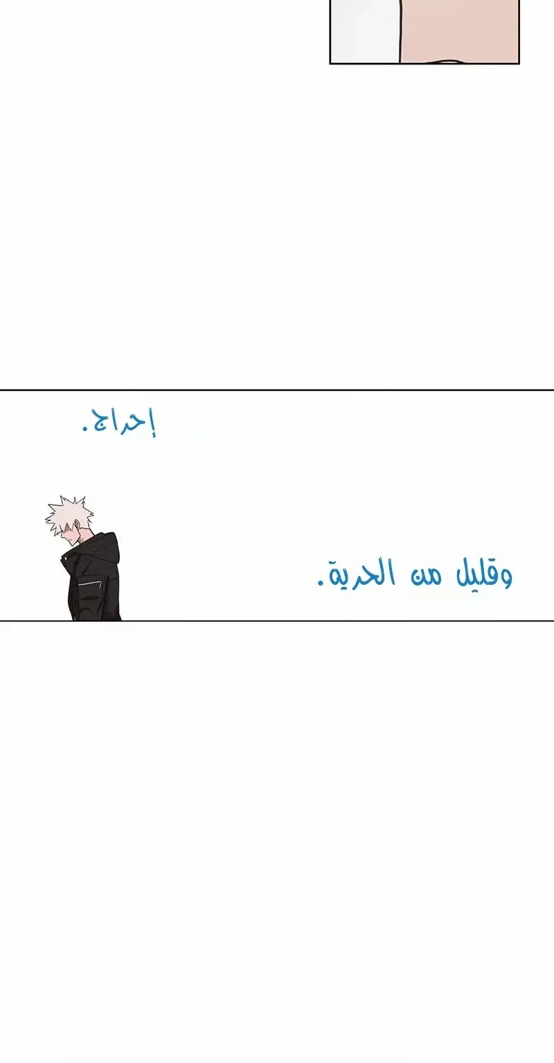 الصفحة 68 من 86