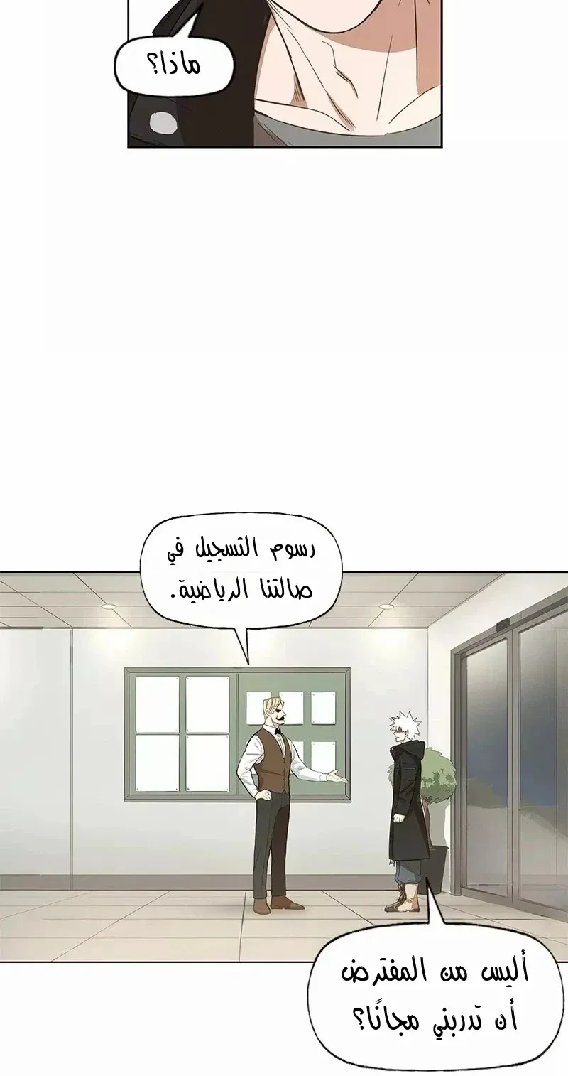 الصفحة 43 من 86