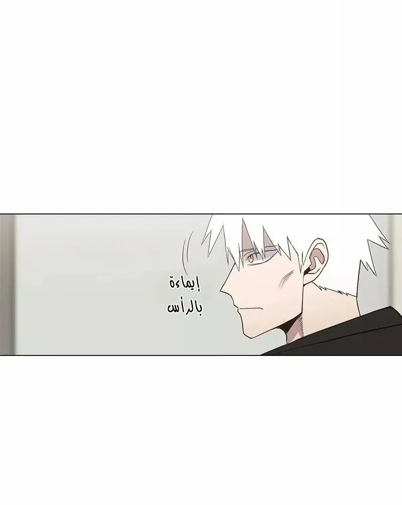 الصفحة 42 من 86