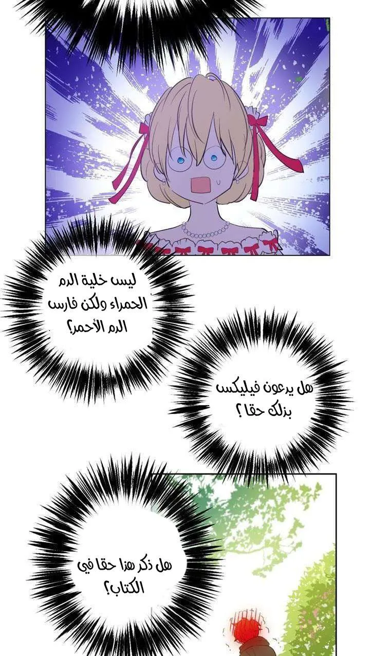 الصفحة 8 من 32