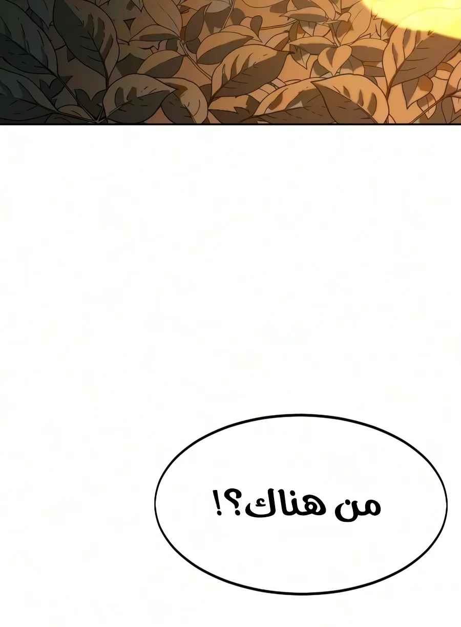 الصفحة 37 من 161