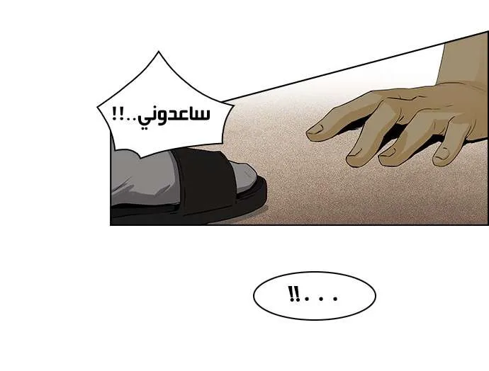 الصفحة 17 من 44