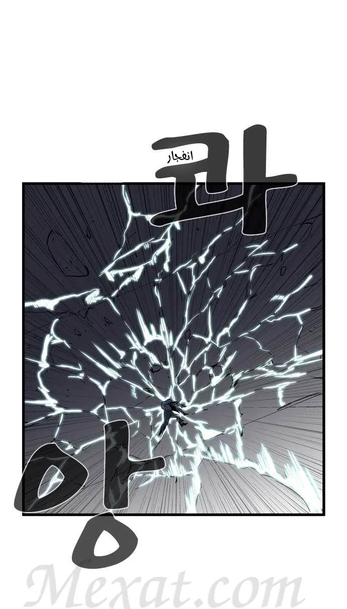 الصفحة 14 من 29