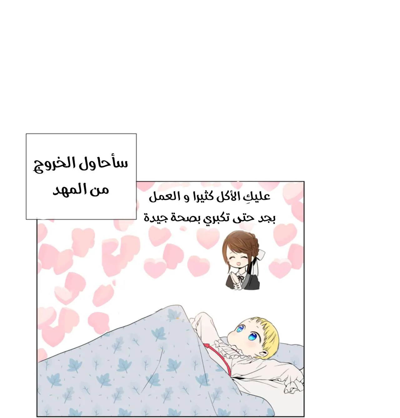 الصفحة 12 من 51