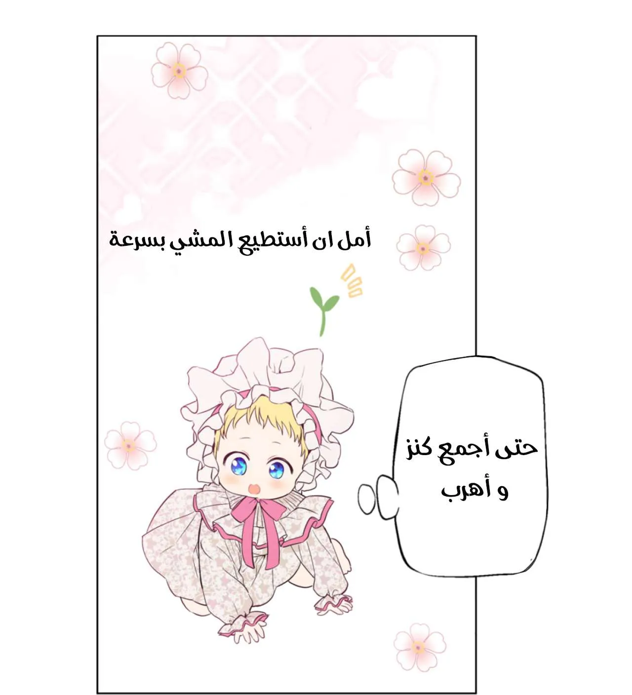 الصفحة 25 من 51