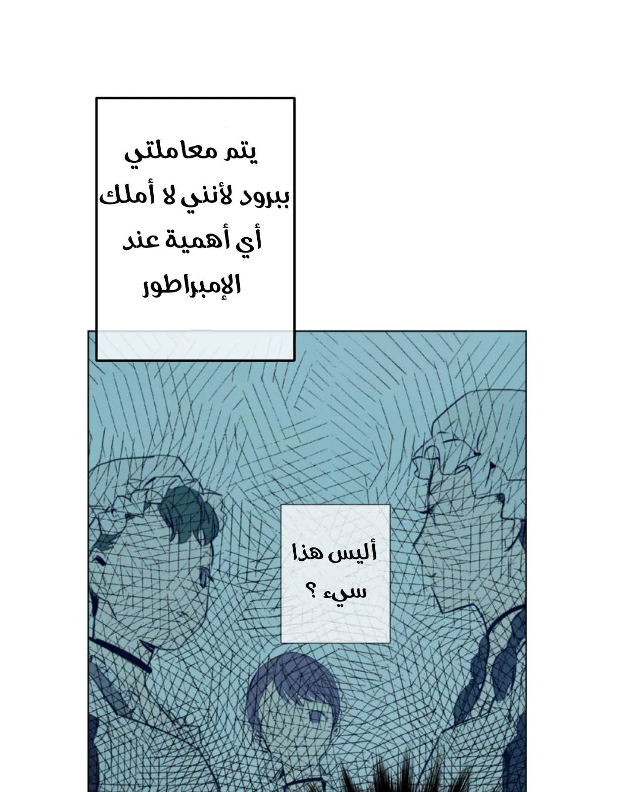 الصفحة 6 من 51