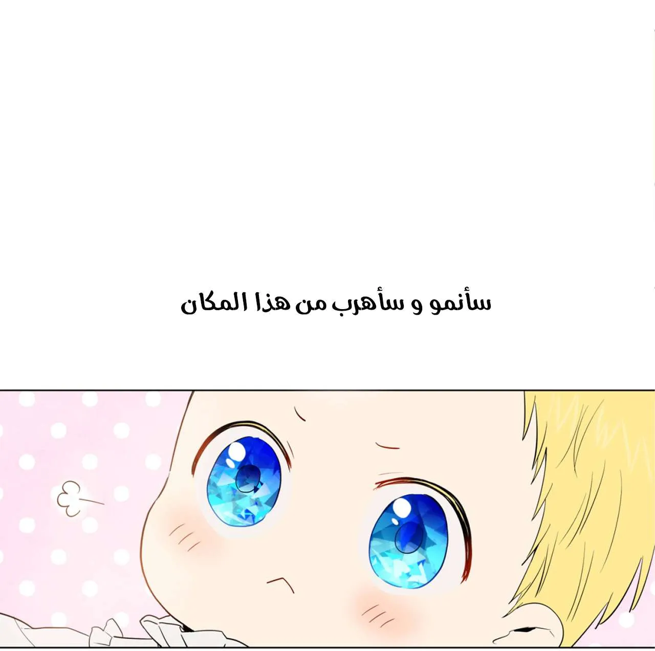 الصفحة 11 من 51