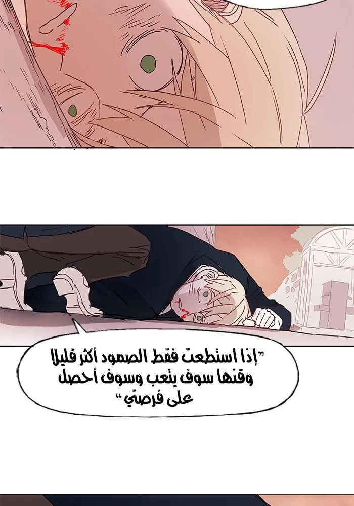 الصفحة 20 من 68