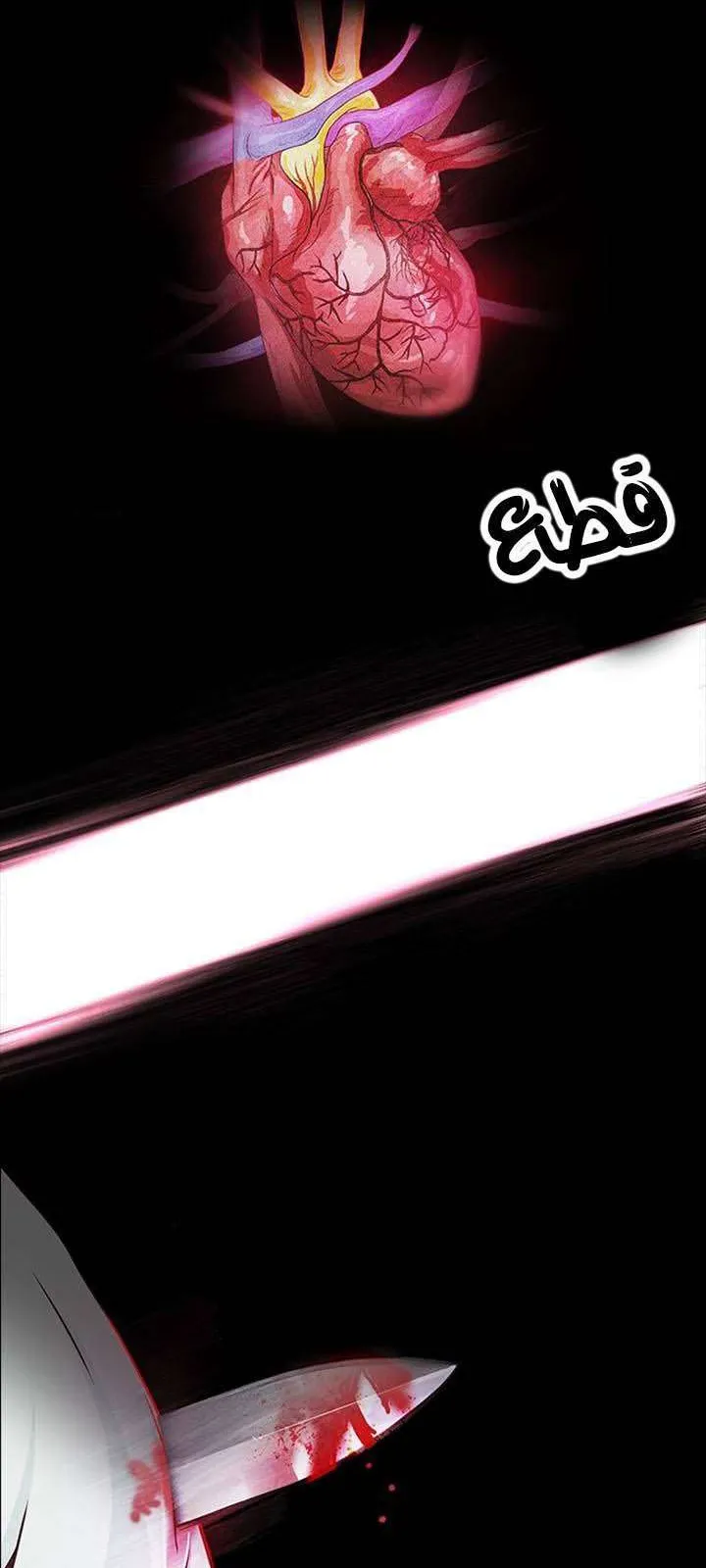 الصفحة 9 من 47