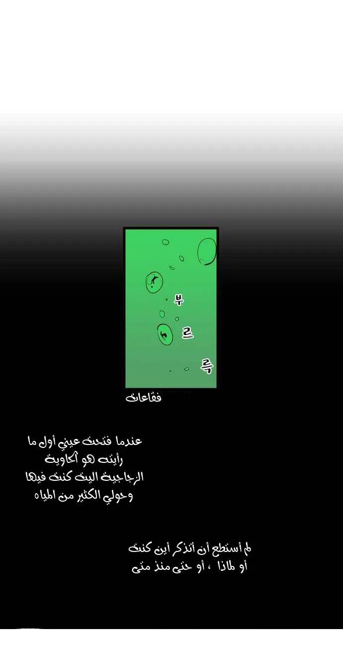 الصفحة 31 من 49