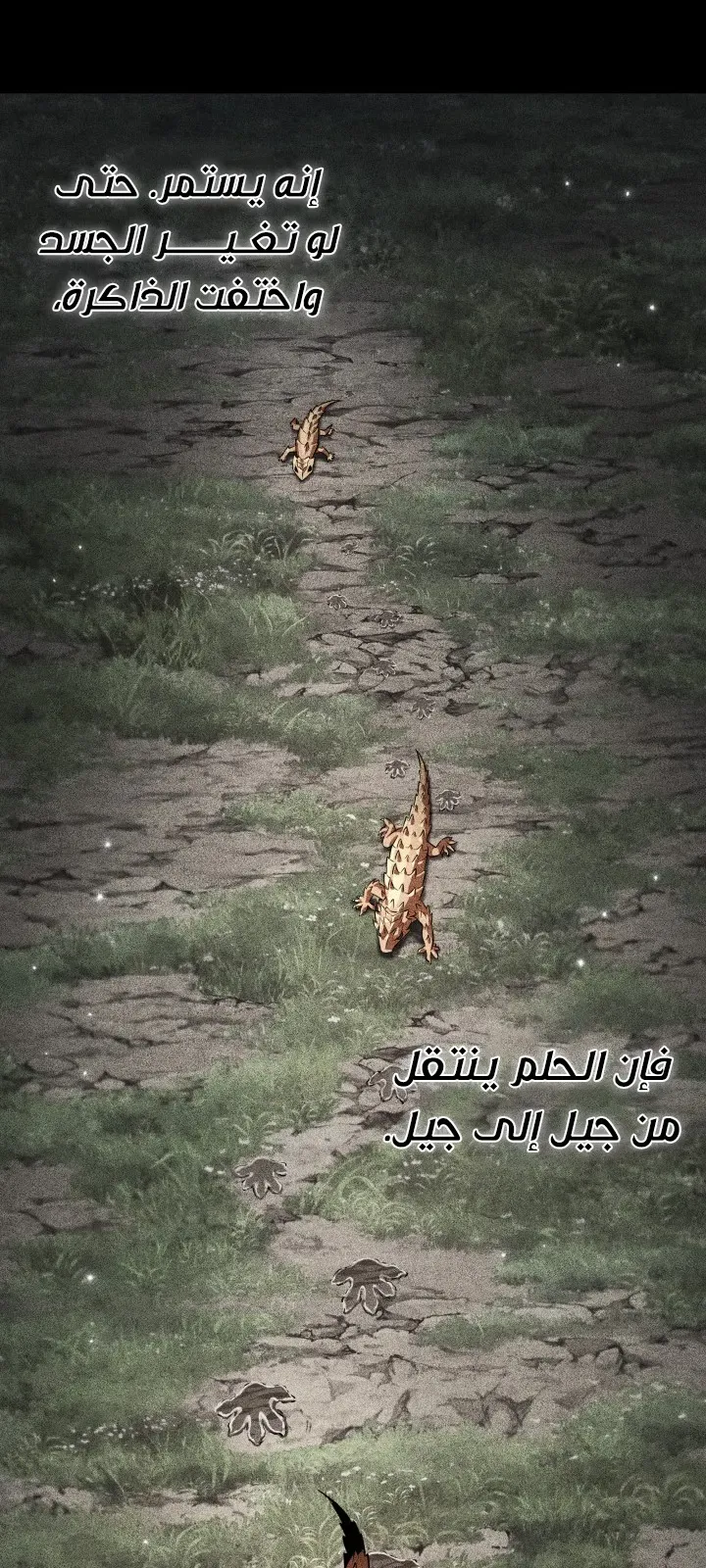 الصفحة 67 من 102