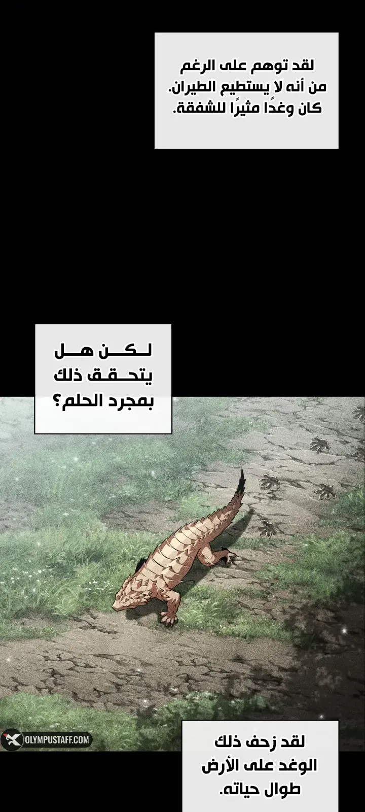 الصفحة 62 من 102