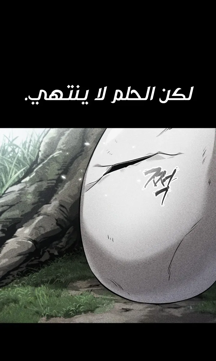 الصفحة 66 من 102