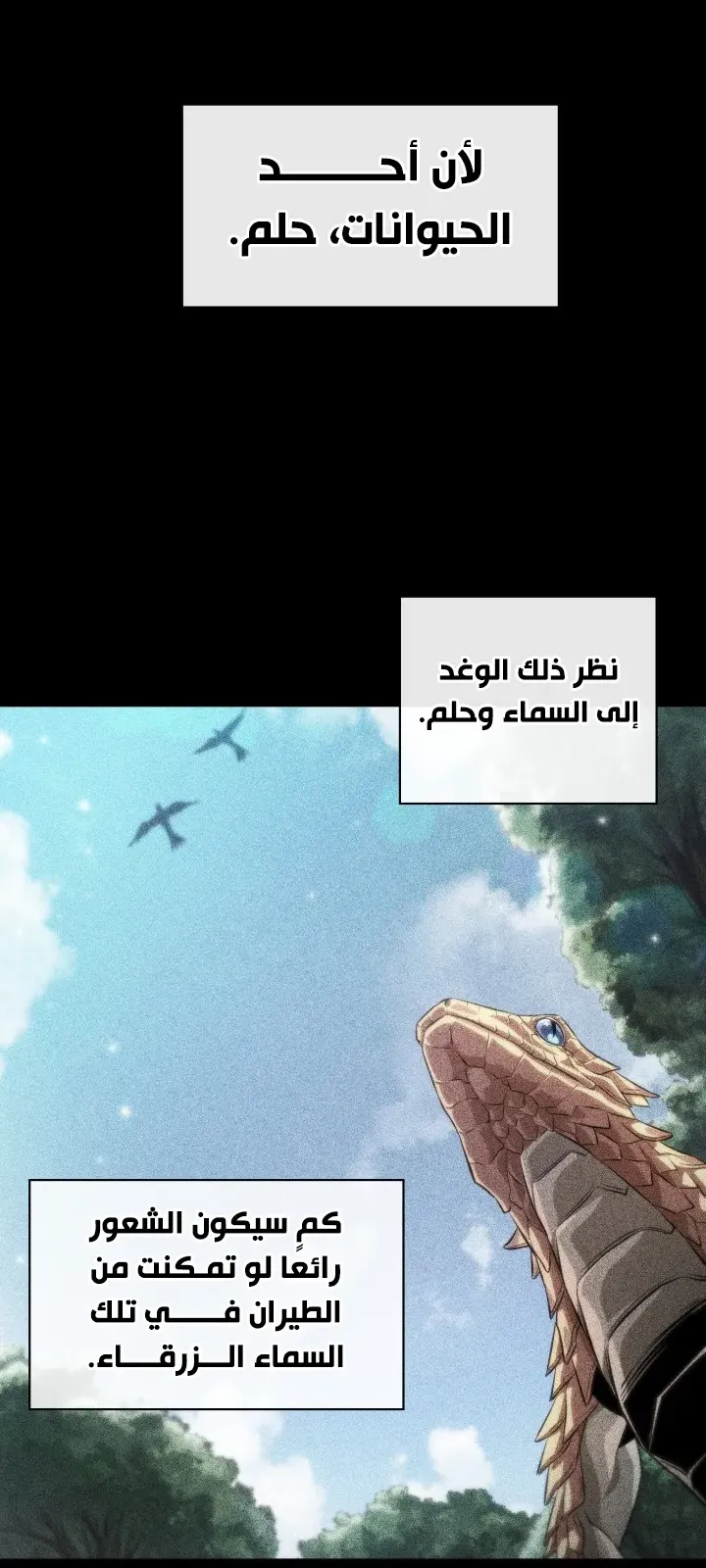 الصفحة 61 من 102