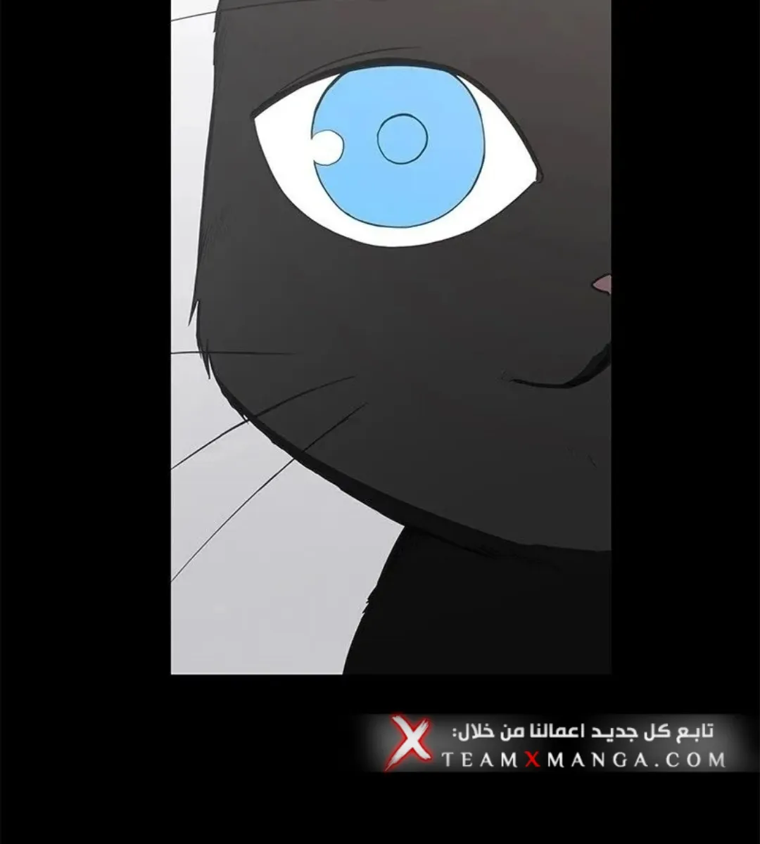 الصفحة 134 من 157