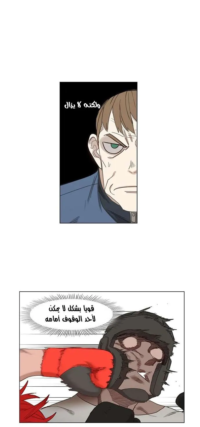 الصفحة 26 من 48