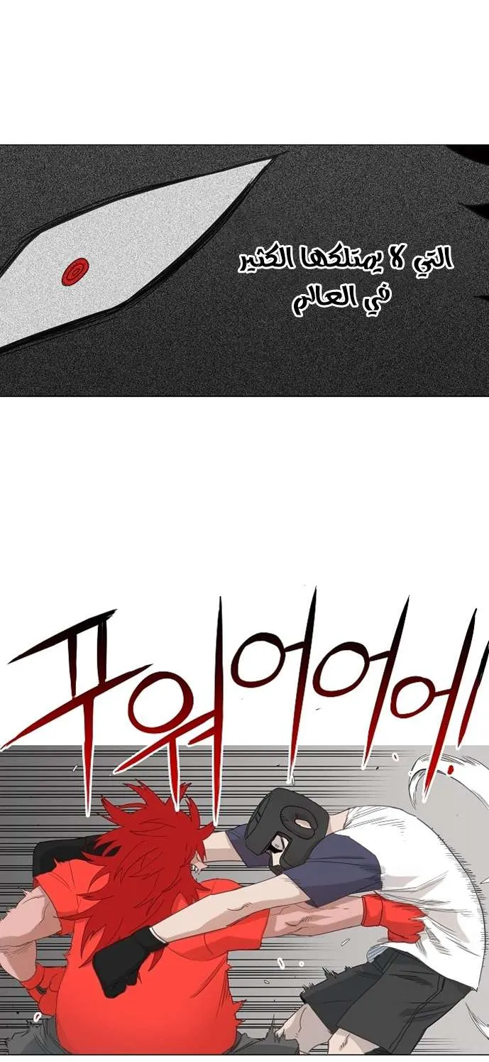 الصفحة 36 من 48