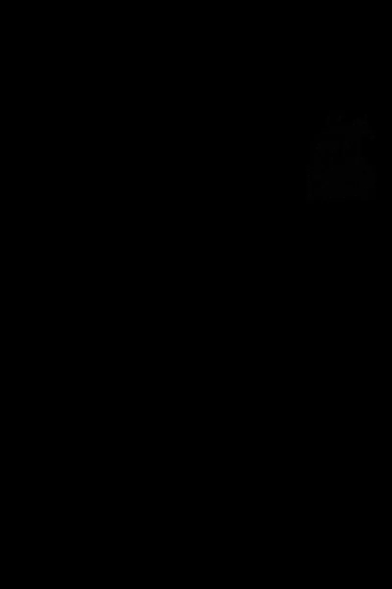 الصفحة 48 من 81