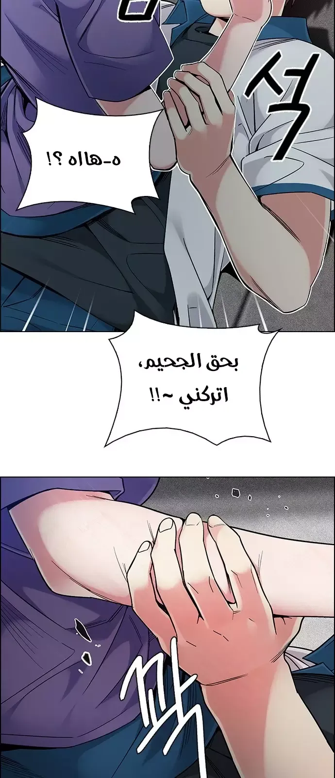 الصفحة 17 من 40
