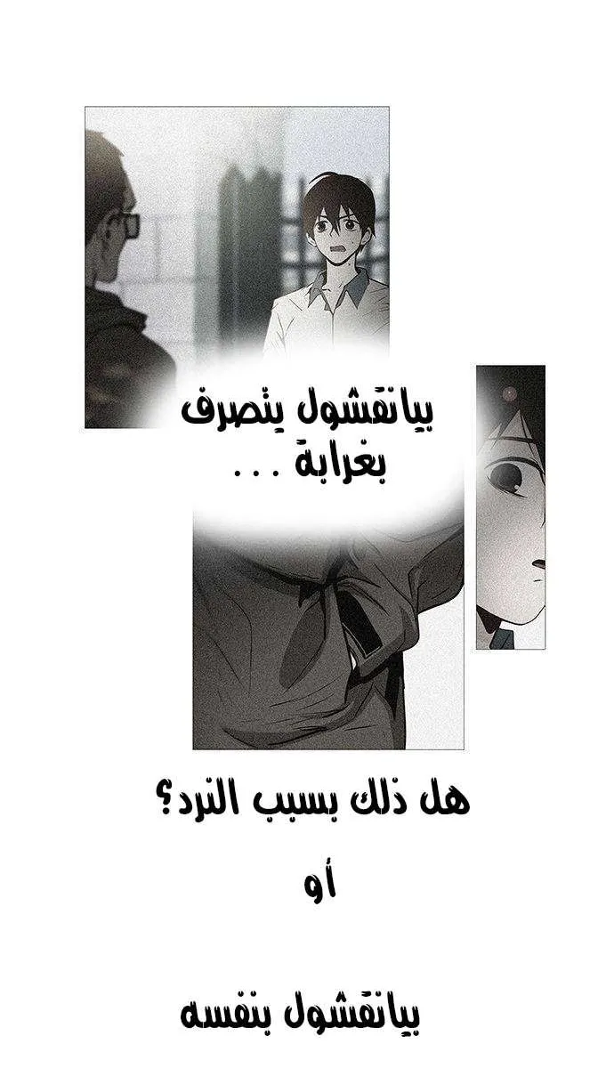 الصفحة 13 من 59