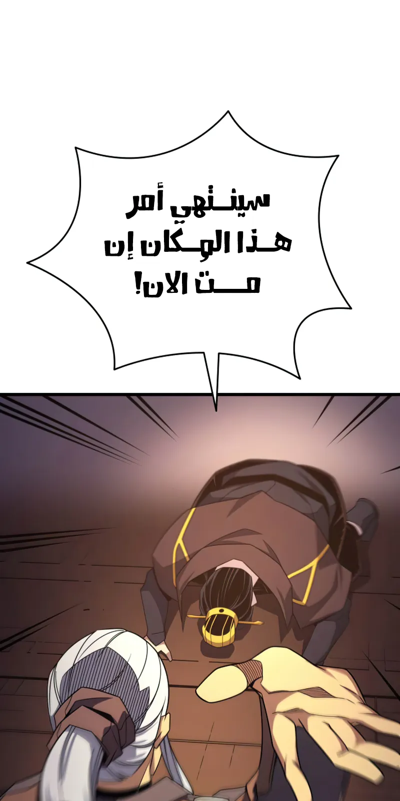 الصفحة 33 من 81